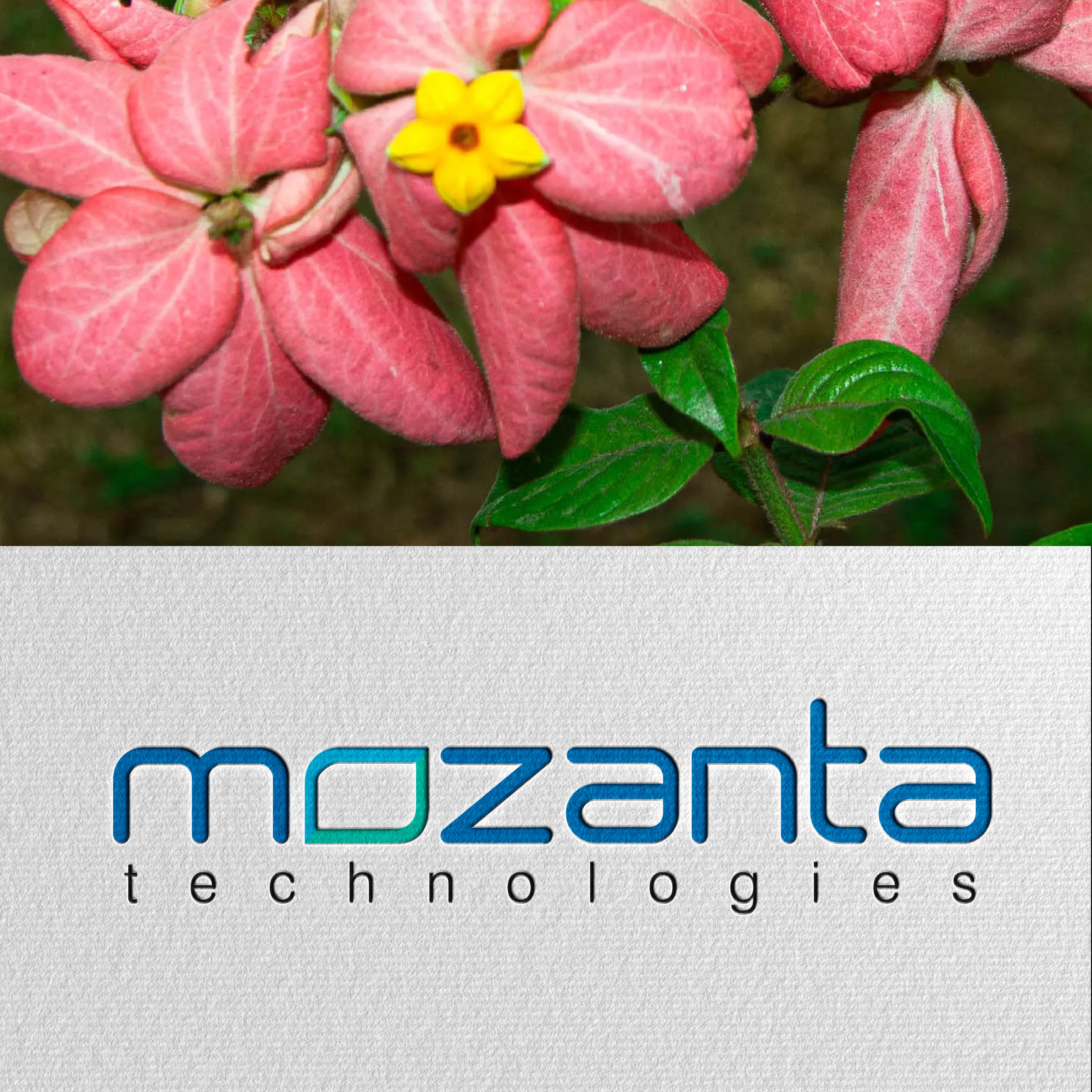 Mozanta Technologies logo